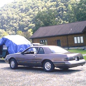 Thunderbird in paint - NDMstang65