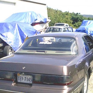Thunderbird - NDMstang65