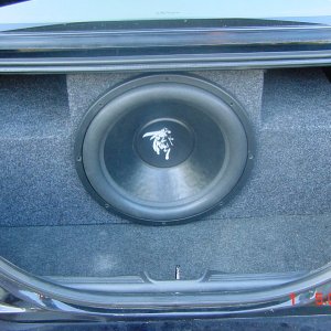 Brahma 15" Rear View