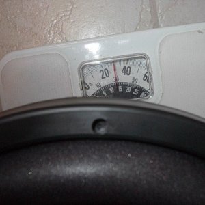 D2 on scale
