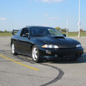 cavy2