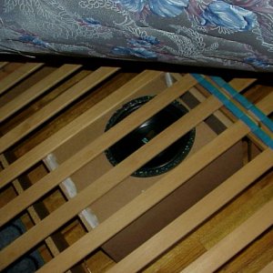 stealthy under the bed