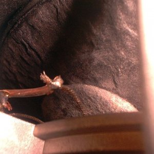 Pdc_0038