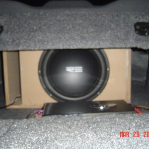 Trunk view of SX 15"