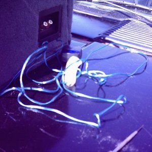 neon wire installed