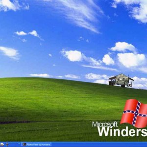 MS Winders skins