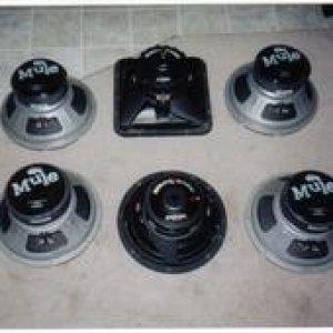 my subs