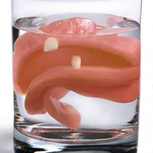 Redneck Dentures!