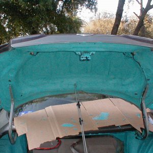 Trunk Lid edead