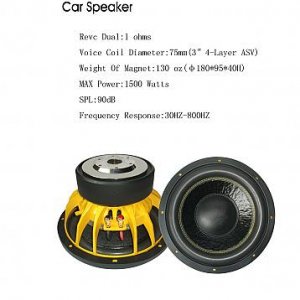 CL-120W 12'' Subwoofer