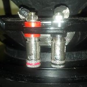 sa8 v1.5