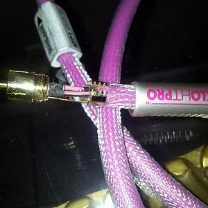 xlo rca