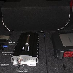 amps tags