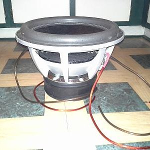 custom 12"