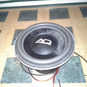 custom 12"