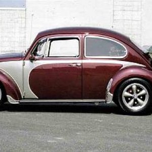 loudassbug
