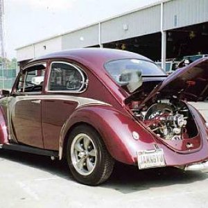 loudassbug2