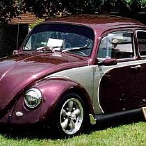 loudassbug3