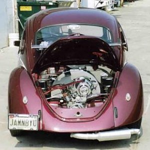 loudassbug6