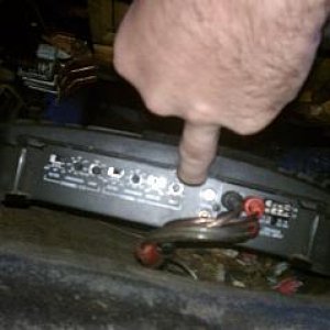 amp