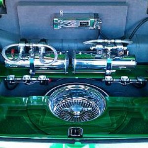 1trunk