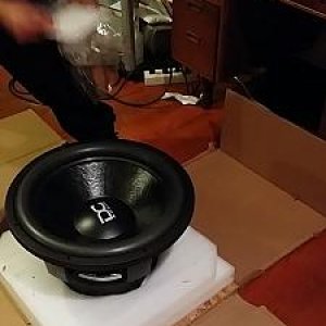 DC Audio Level 6