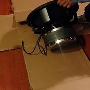 DC Audio Level 6