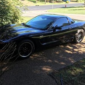 Corvette Pics