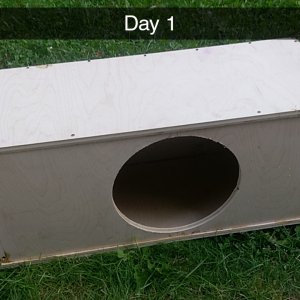 Day 1 box build
