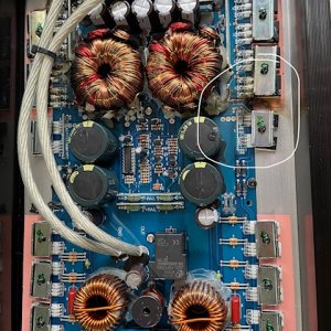 Fried Amp 2.jpg