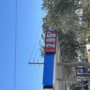 IMG_1410.jpeg