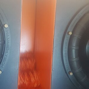 fuzzy.jpg