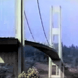 IMG_5369.gif