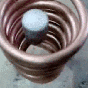 IMG_5649.gif