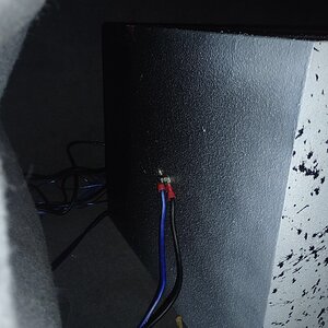 IMG_20240706_034434919.jpg