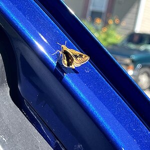 IMG_0858.jpg