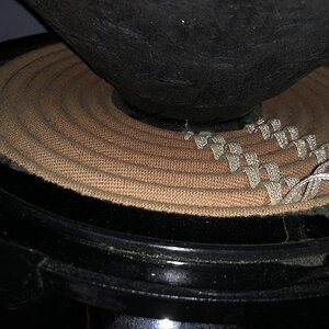 IMG_7618.JPG