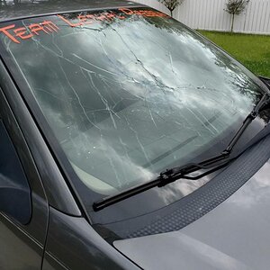 windshield.jpg