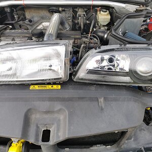 IMG_20220515_124852.jpg
