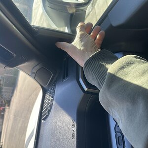 IMG_8224.jpeg