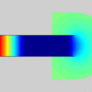 IMG_7797.gif
