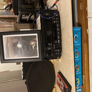 IMG_2130.jpeg