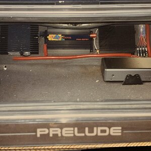 IMG_6785.jpeg