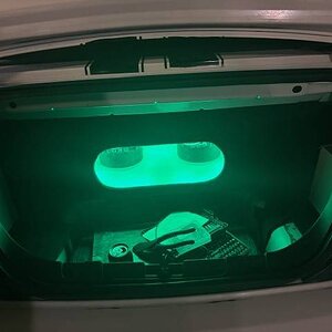 Mustang Trunk1.jpg