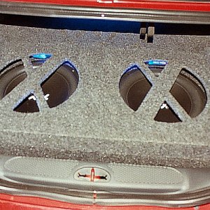 Trunk Pic