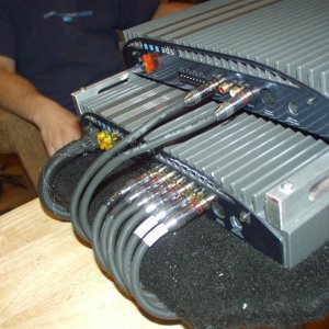 Amp routing - amp view