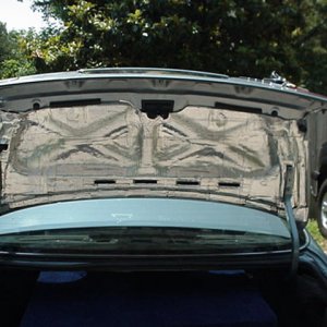 My peal and seal trunk lid