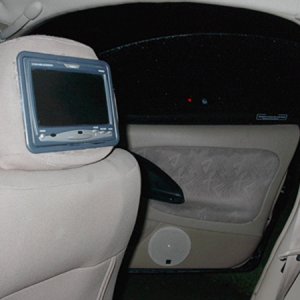 Clarion TV in the headrest and custom door.