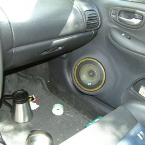 Passenger's side door panel