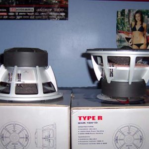 My subs right out of the box